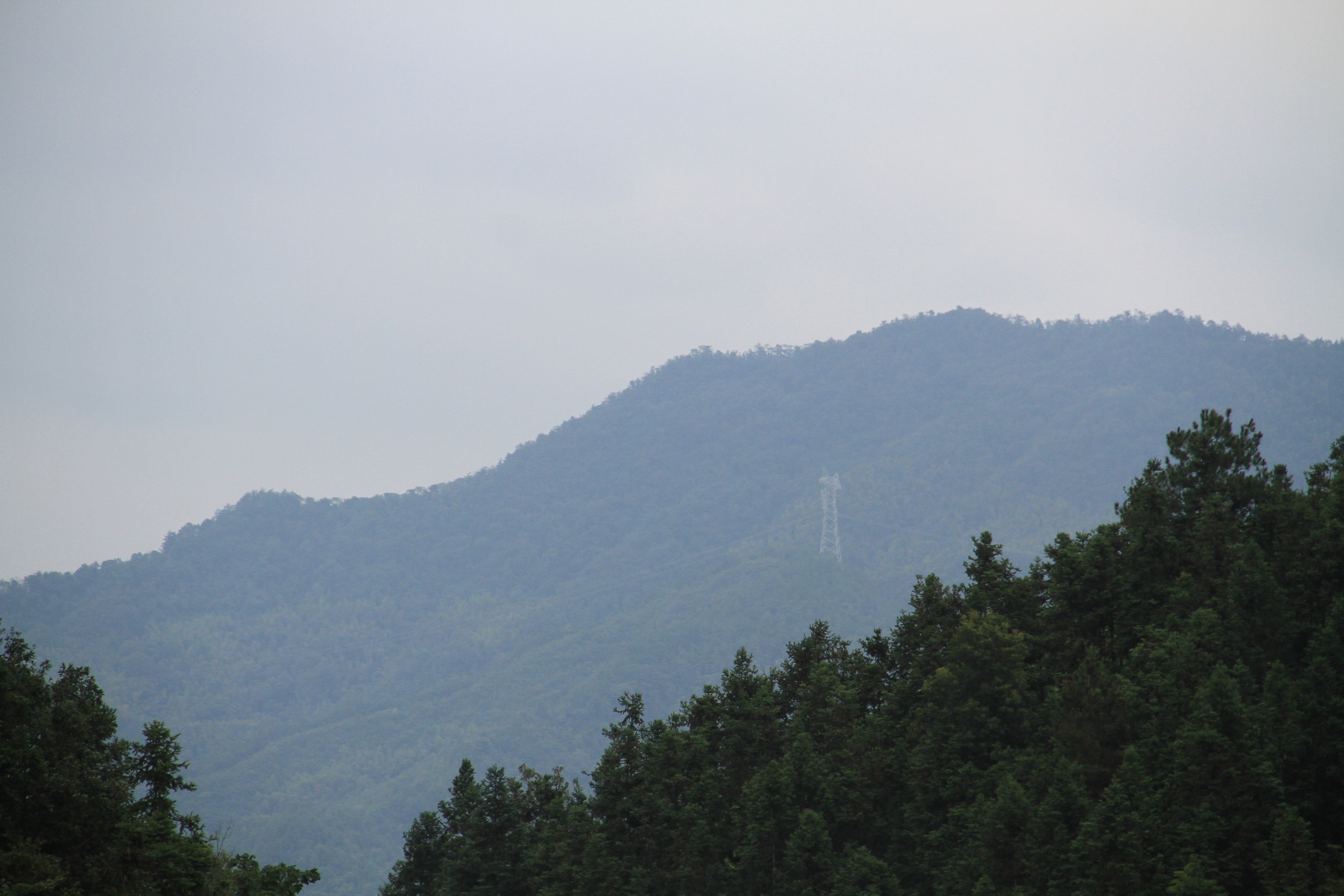 IMG_1186.JPG